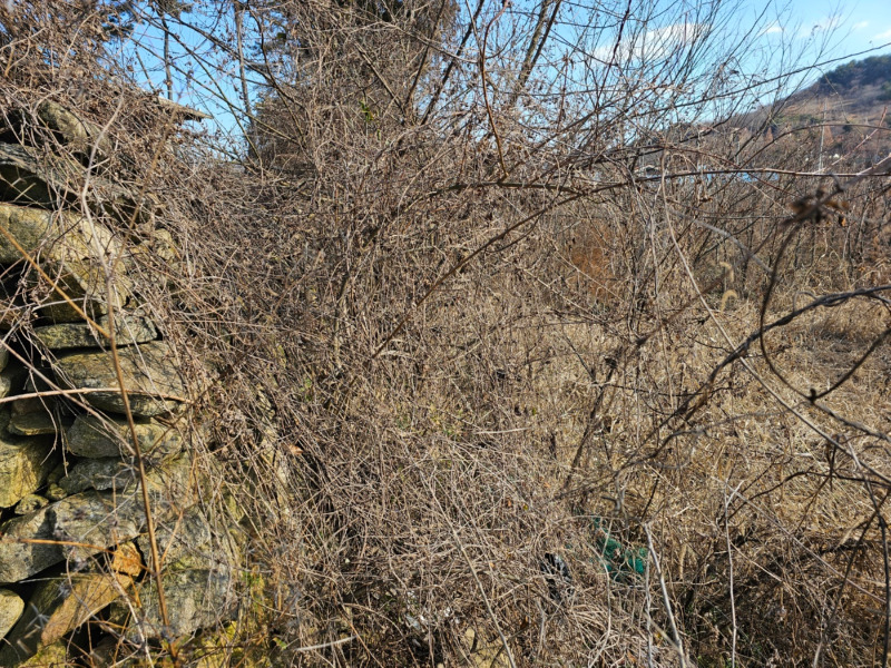 001-1014.jpg