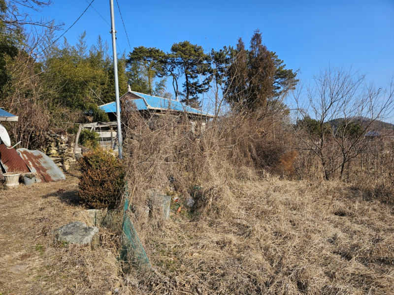 002-1017.jpg