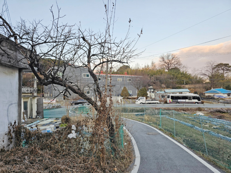 1004.jpg