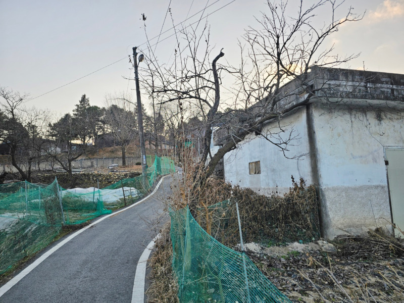 1002.jpg