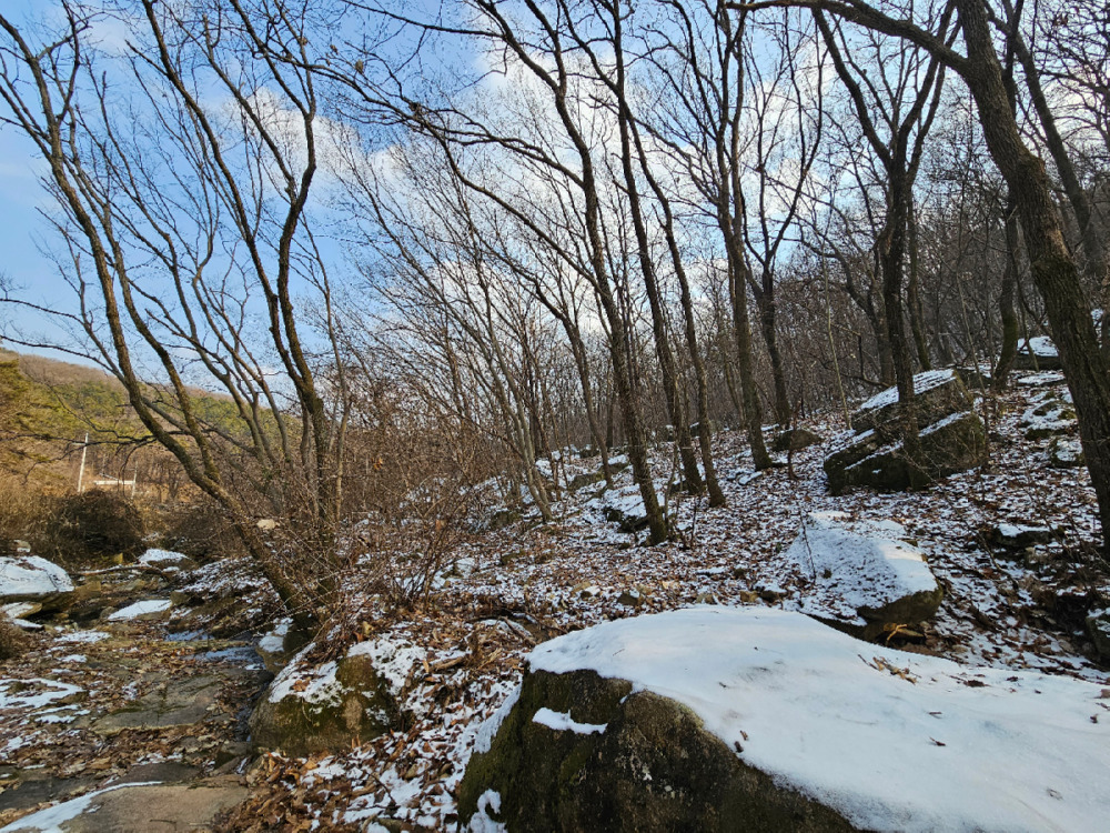 104-20250112_141842-1200.jpg
