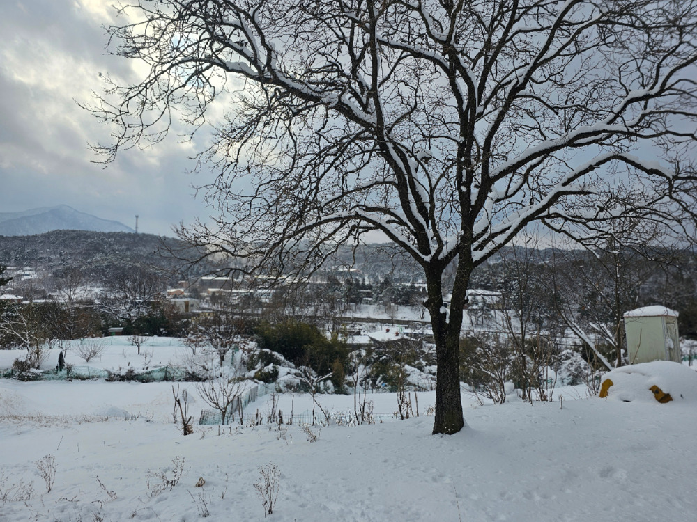 20250128_122222-1400.jpg