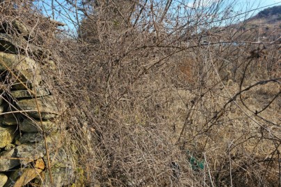 001-1014.jpg